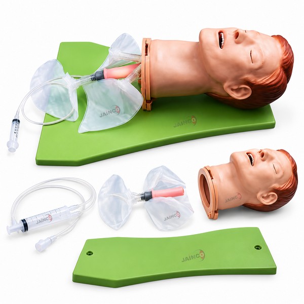 Multi-functional Airway Management Model
